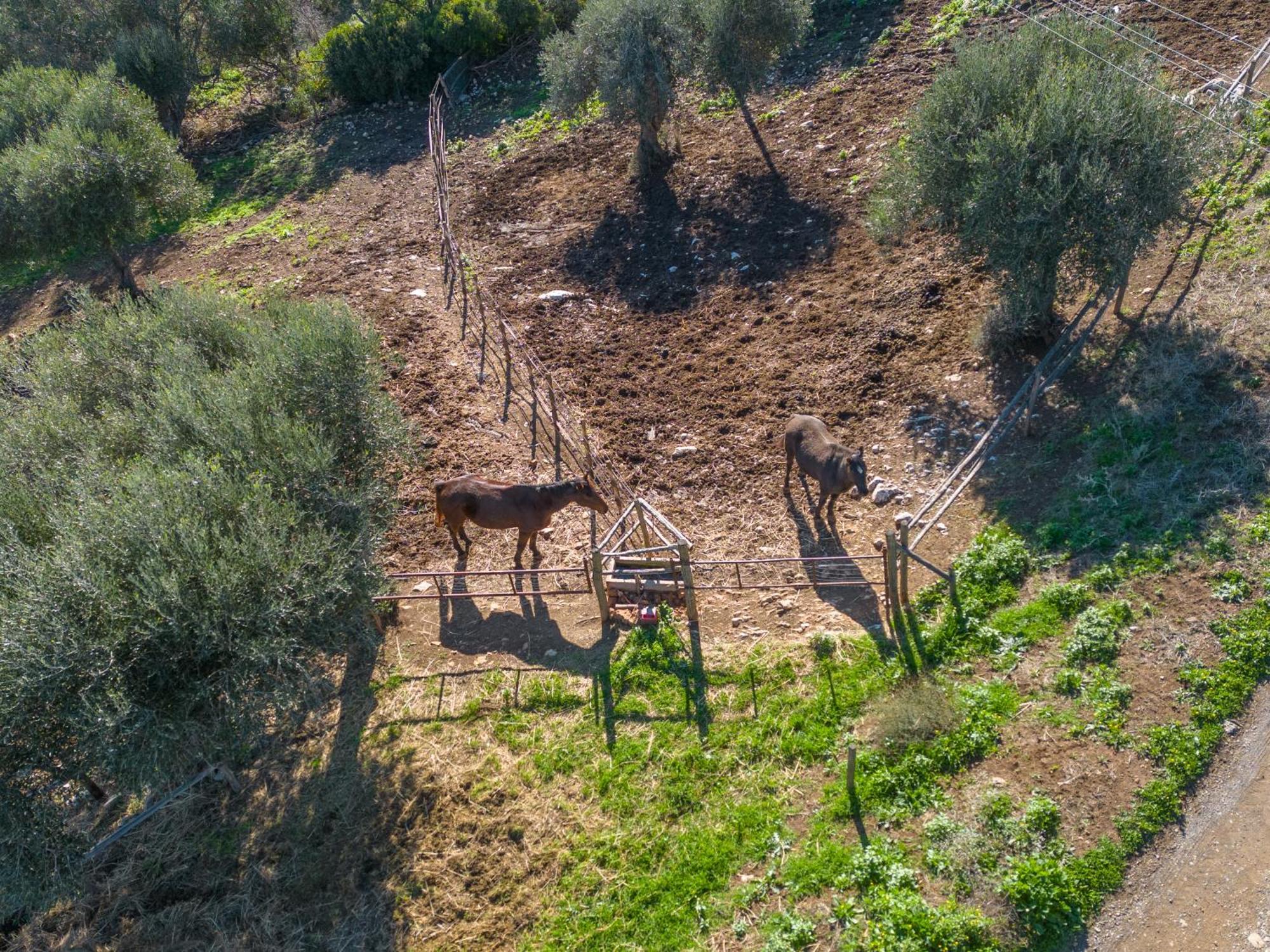 Agriturismo Buratta Fonteblanda Kültér fotó